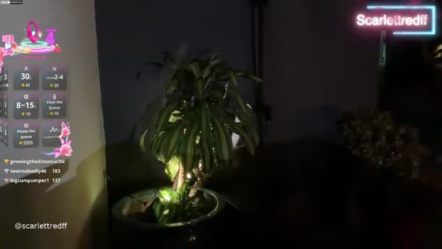 scarlettredff Chaturbate Female 28-07-2025