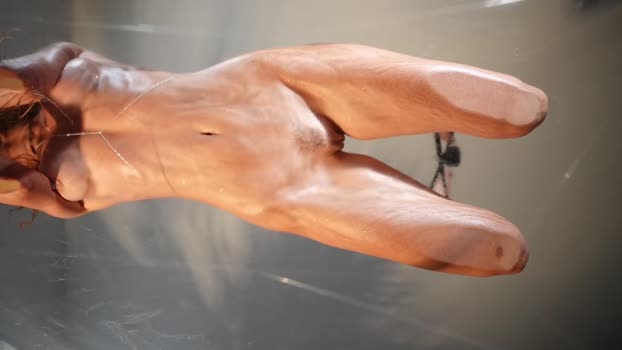 heybanan Chaturbate Female 28-07-2025