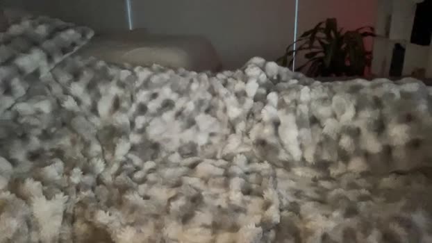 blueeyespinkhole Chaturbate Couple 31-07-2025