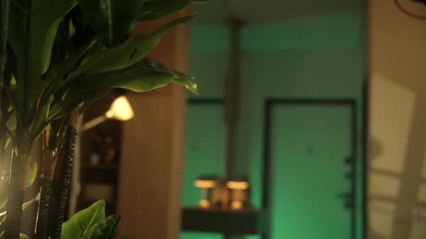 artmosphera Chaturbate Female 02-08-2025