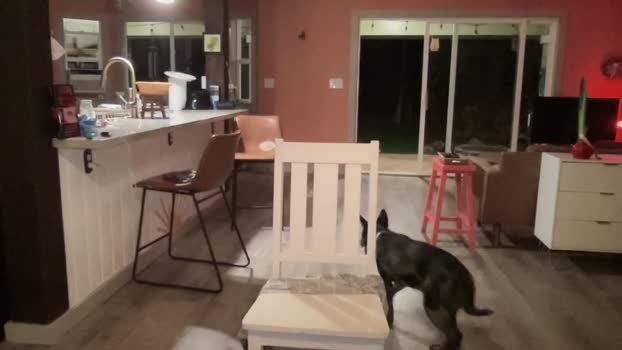 kaileeshy Chaturbate Female 05-08-2025