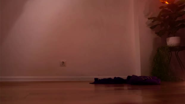 shiningstarrr Chaturbate Female 05-08-2025