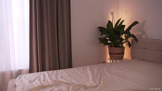 alissa_wxw Chaturbate Female 07-08-2025