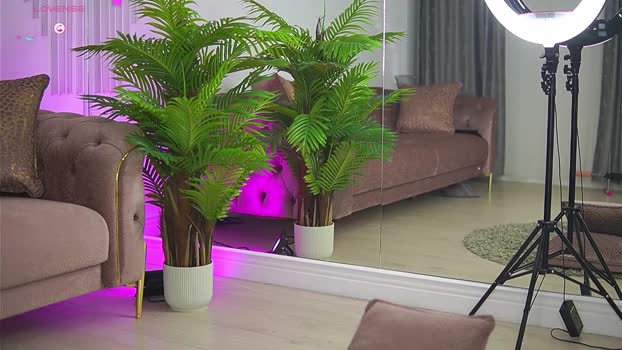 abbela_white Chaturbate Female 09-08-2025