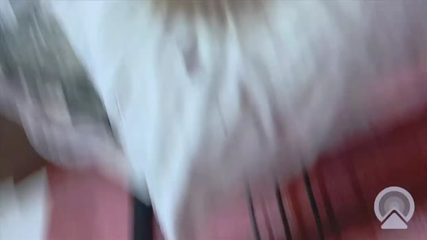 ericalikiss