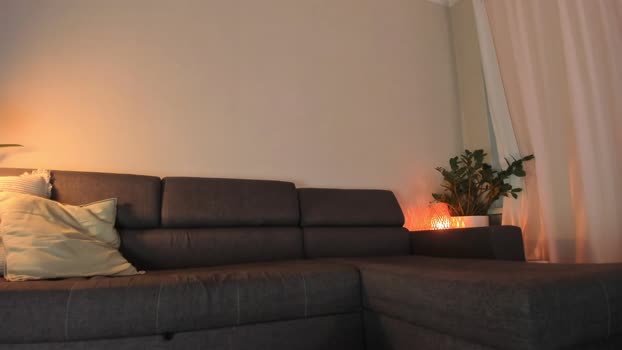 cassisland Chaturbate Female 11-08-2025