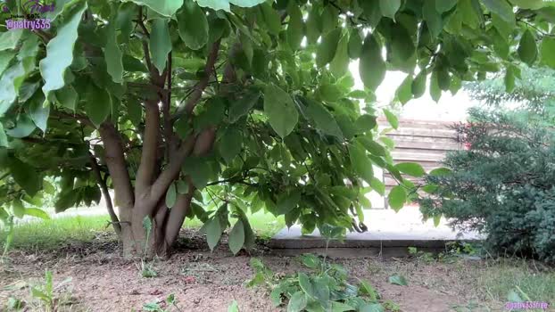 patry333 Chaturbate Female 12-08-2025