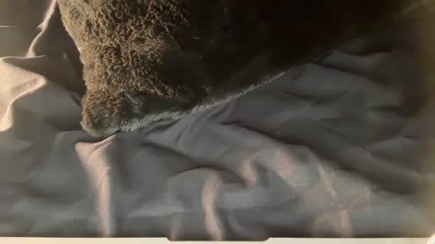 bonnettbonett Chaturbate Female 13-08-2025