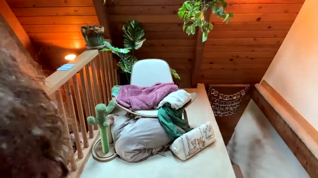 emersoncane Chaturbate Female 13-08-2025