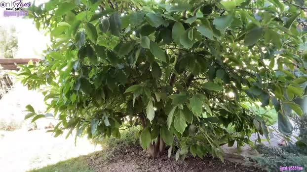 patry333 Chaturbate Female 14-08-2025