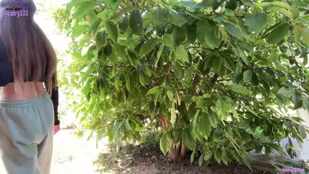 patry333 Chaturbate Female 14-08-2025