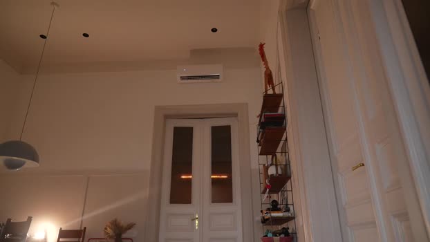 mia_elfie Chaturbate Female 18-08-2025