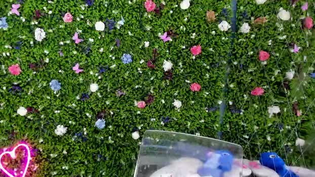 babyaylin Chaturbate Female 23-08-2025