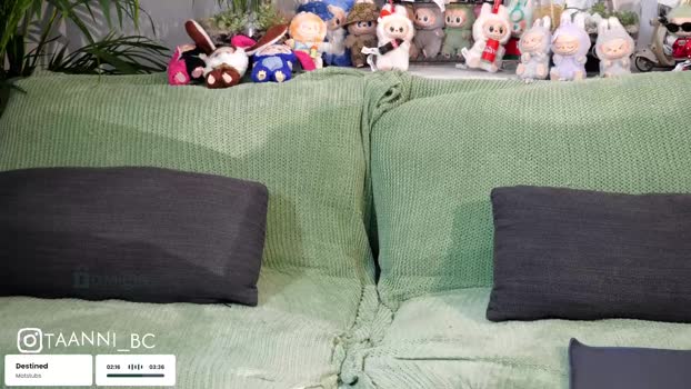 taanni_bc Chaturbate Female 26-08-2025