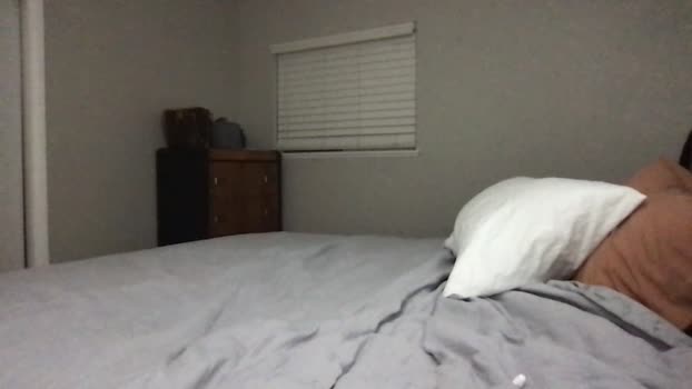 lilyskyco