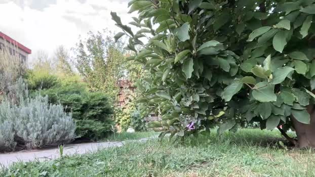 patry333 Chaturbate Female 09-09-2025