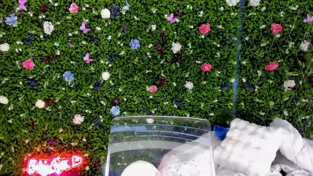 babyaylin Chaturbate Female 11-09-2025