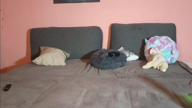 katusha008 Chaturbate Couple 22-09-2025