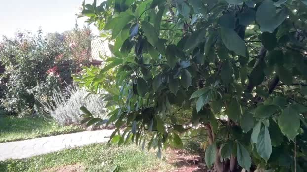 patry333 Chaturbate Female 24-09-2025