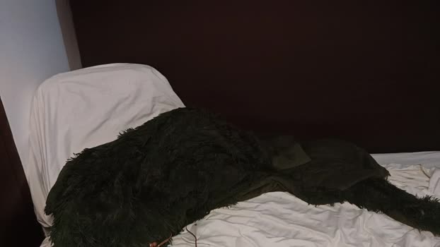 msprissylynx Chaturbate Female 11-10-2025