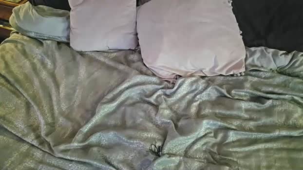 bouncybronze Chaturbate Female 12-10-2025