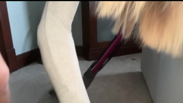 andreaelizabethxo Chaturbate Female 27-10-2025