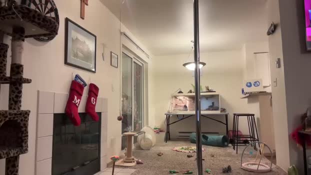 graceyrose Chaturbate Female 26-11-2025