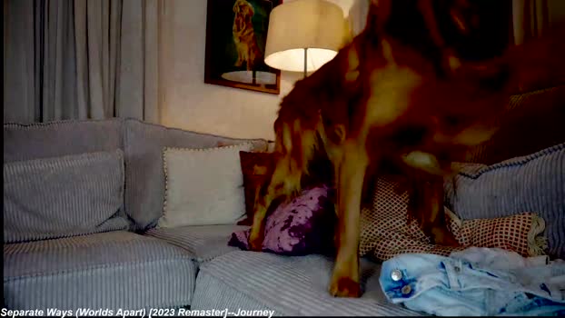 x_lily_x Chaturbate Female 26-11-2025