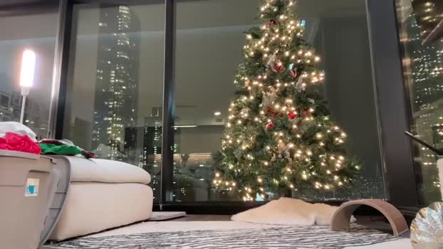 graciemae_baexx Chaturbate Couple 04-12-2025