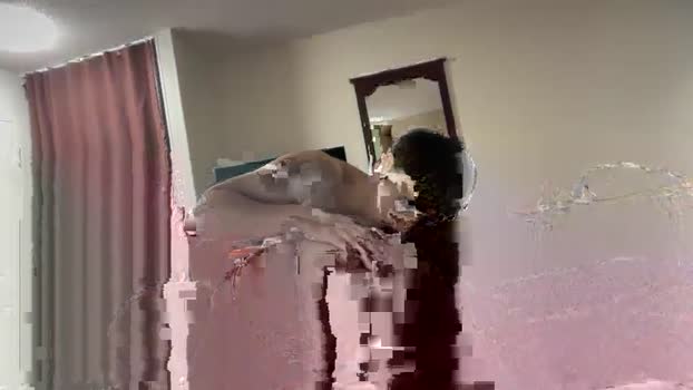 felinasol Chaturbate Couple 06-12-2025