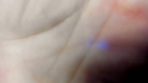 dongfatherproductions Chaturbate Couple 08-12-2025