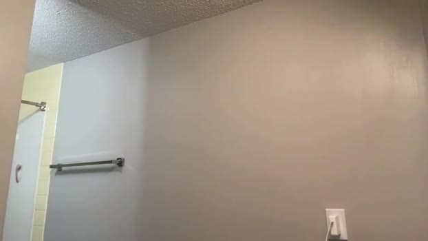 laylakitten4 Chaturbate Couple 11-12-2025