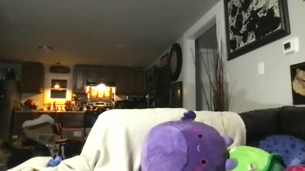 skybabytv Chaturbate Female 15-12-2025