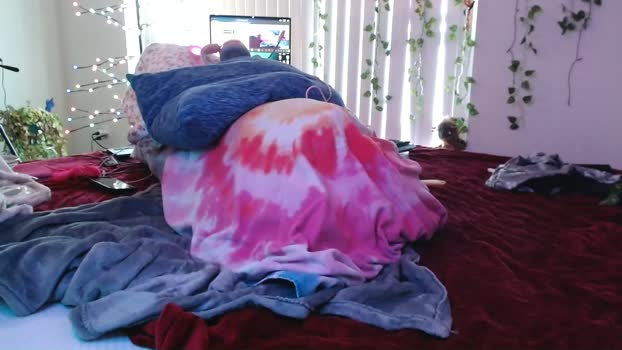 zestylilrawr69 Chaturbate Female 15-12-2025