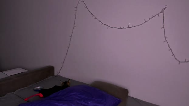 ladytrep Chaturbate Couple 17-12-2025