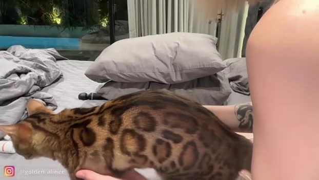 golden_alinee Chaturbate Female 18-12-2025