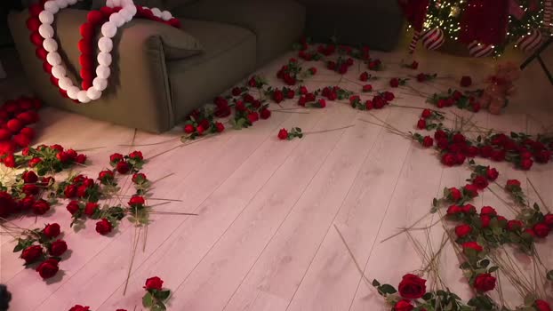 _meganmeow_ Chaturbate Female 20-12-2025