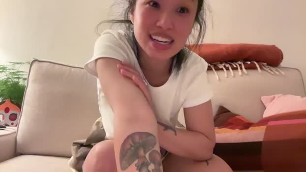 ollyhibs Chaturbate Female 24-12-2025