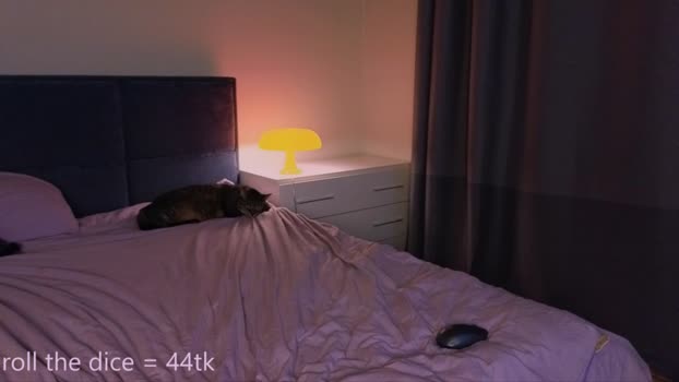 sunlovedamily Chaturbate Female 27-12-2025