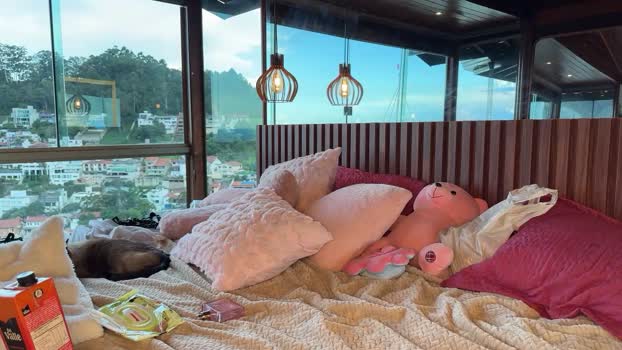 christinasage Chaturbate Couple 29-12-2025