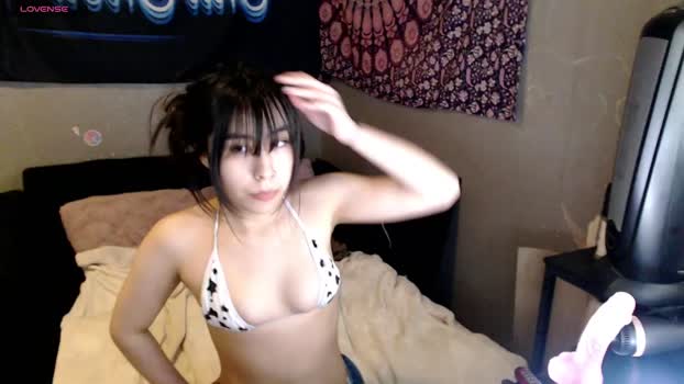 londonray Chaturbate Female 01-01-2026