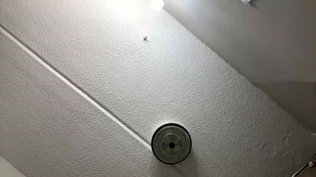 notsoguiltypleasure Chaturbate Couple 01-01-2026