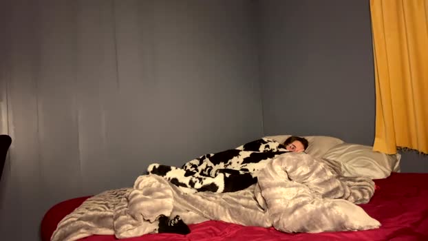 beautyxbeast Chaturbate Couple 02-01-2026