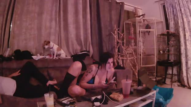 eldad3371 Chaturbate Couple 01-01-2026