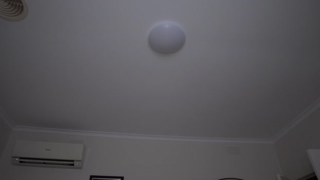 pixieasiangal Chaturbate Female 02-01-2026