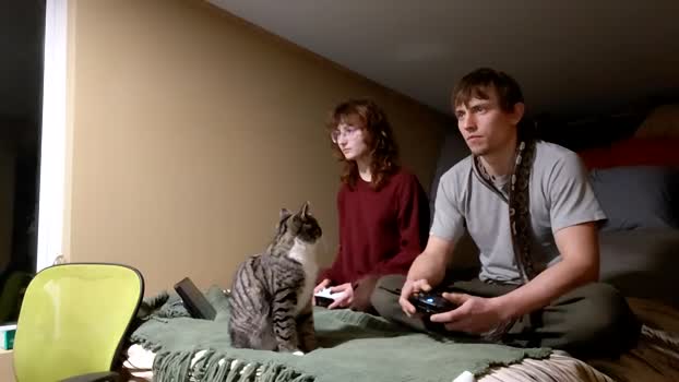 info_chat Chaturbate Couple 03-01-2026