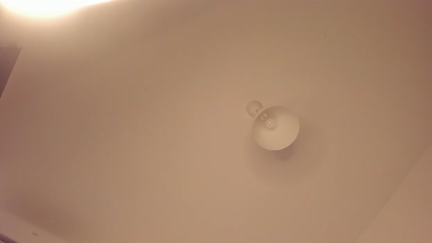 itsbellax Chaturbate Female 03-01-2026