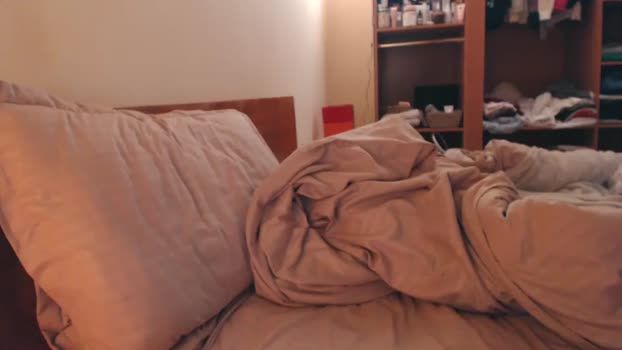 andrasweetie Chaturbate Couple 04-01-2026