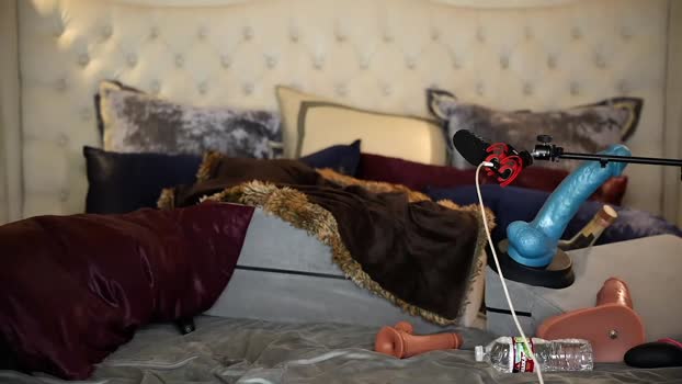 avalonnfoxx Chaturbate Female 08-01-2026