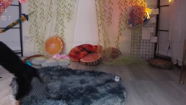 mollyflwers Chaturbate Female 14-01-2026